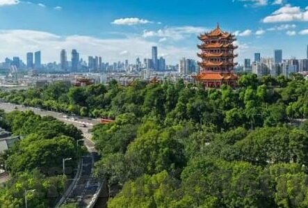 竞彩足球 买比分-竞彩足球买比分，一场充满挑战与机遇的博弈艺术